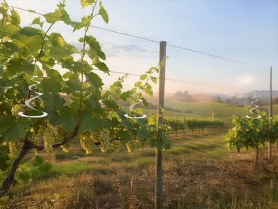 Strend Pro plašič ptáků spirála, bal. 3ks