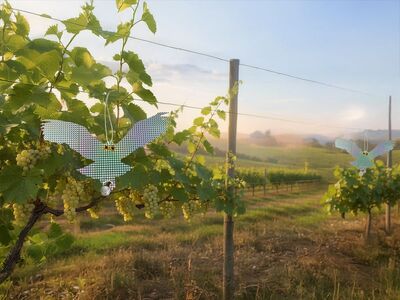 Strend Pro plašič ptáků, orel, balení 2ks