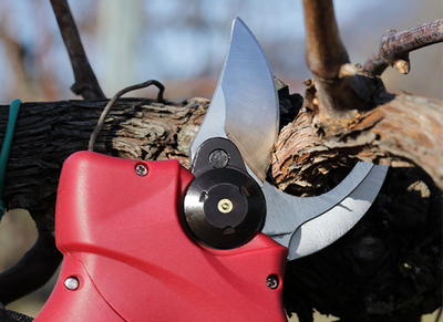 Archman FE04-25 aku nožnice na konáre 16,8V 2x2,0Ah aku