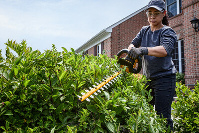 DeWalt DCMHT573N aku nožnice na živý plot 65cm, 54V, bez aku