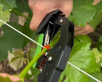 Viazacie kliešte Lizard na vinohrad a rastliny, 10 ks pásky, 10 000 ks sponky