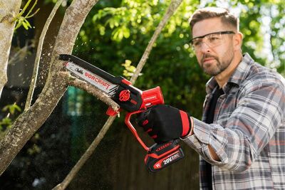 Pila Worcraft CHS-S20LiBDM ShareSYS, bezuhlíková, 20V Li-ion, 8" řetěz, mini řetězová, SET v kufru