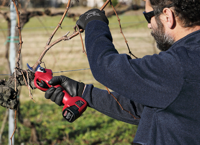 Archman FE04-25 aku nožnice na konáre 16,8V 2x2,0Ah aku