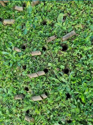 Strend Pro Garden ručný aerifikátor trávnika – aerifikačné vidly 4 hroté, 30x102 cm